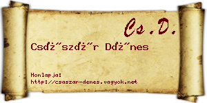 Császár Dénes névjegykártya